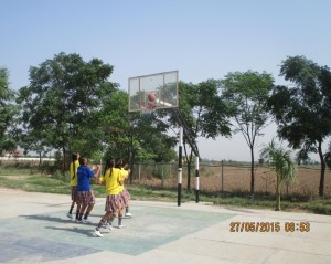 Sports Basketball